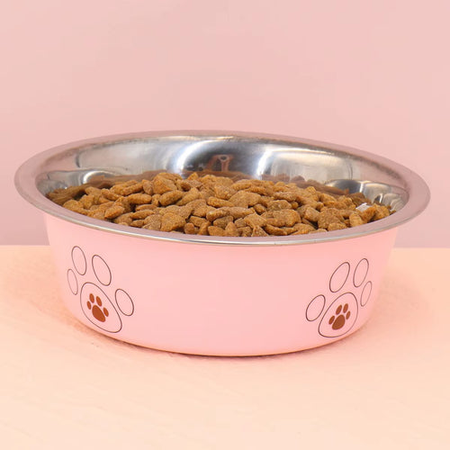 A Pet Stainless Steel Cat and Dog Bowl Is Non Slip and Easy to Clean Indoors