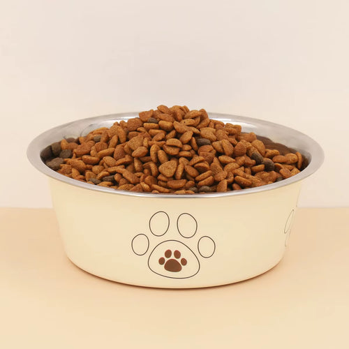 A Pet Stainless Steel Cat and Dog Bowl Is Non Slip and Easy to Clean Indoors